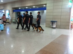 上海浦東国際空港の警察犬