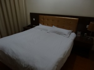 吉泰連鎖酒店（上海浦東機場店）室内